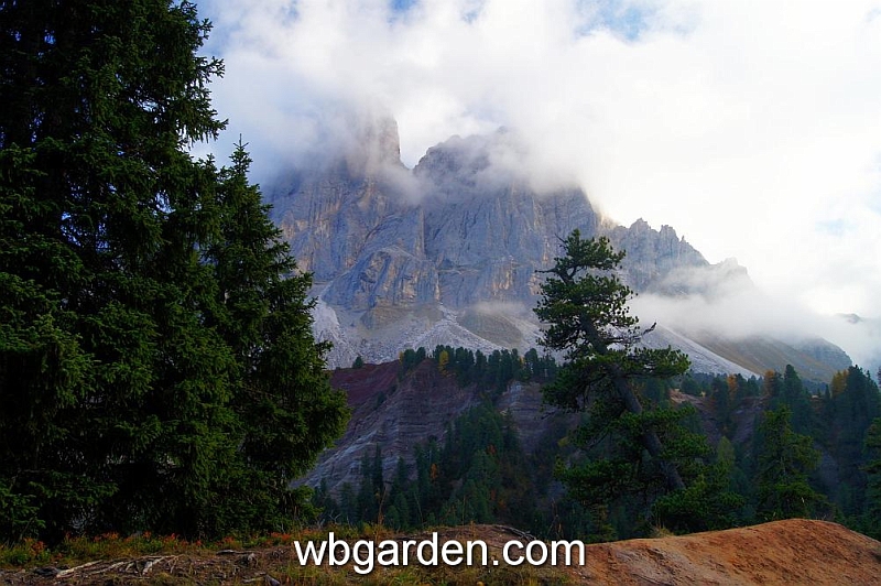 wbgarden alps 95.JPG